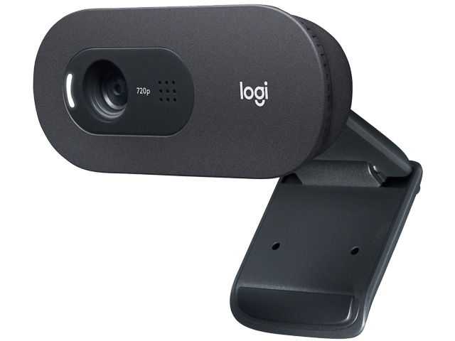 LOGITECH C505 HD WEBCAM SCHWARZ 960-001364 720p/USB-A/Mikrofon